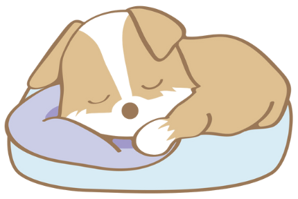 ペットが亡くなったときに大切なこと