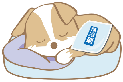 ペットが亡くなったときに大切なこと