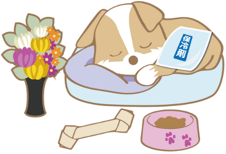 ペットが亡くなったときに大切なこと