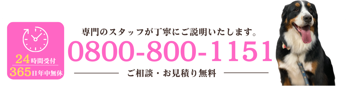 電話でのお問い合わせ 0800-800-1151