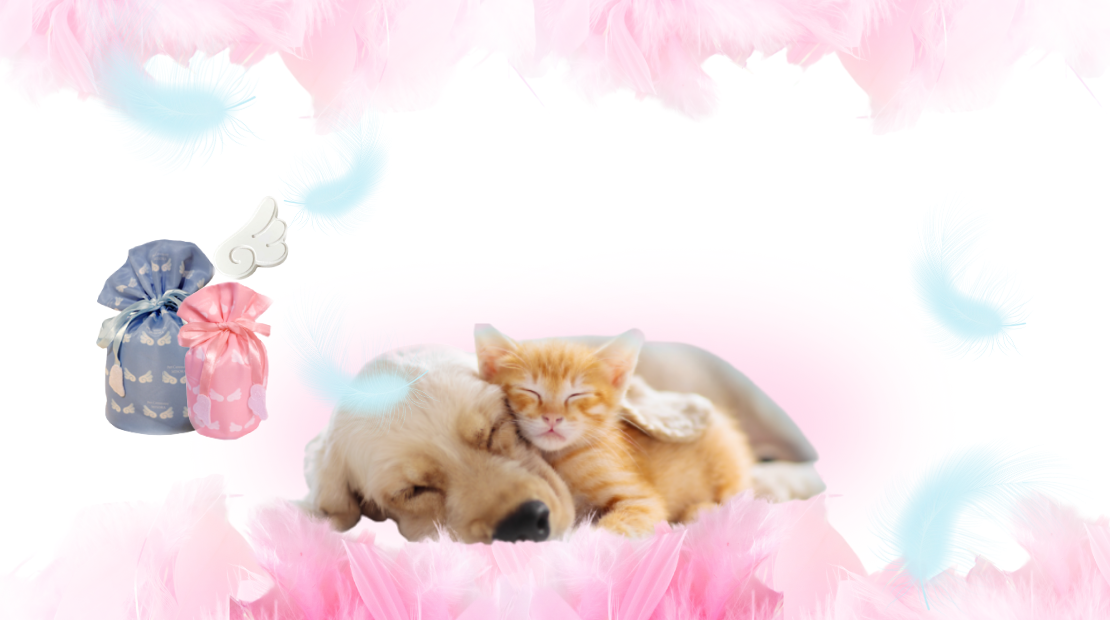 背景PC用画像1枚目