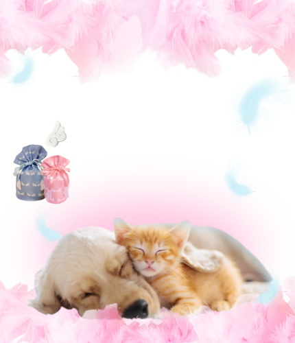 背景SP用画像1枚目