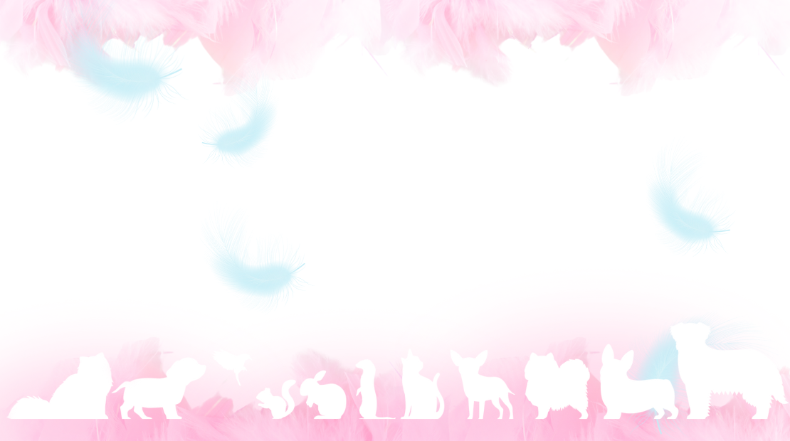 背景PC用画像2枚目