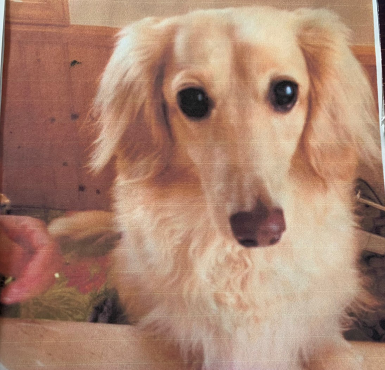 ジャックちゃん