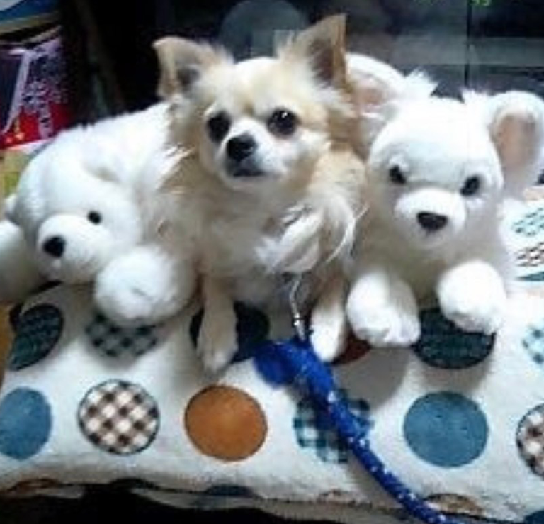 田口レオちゃん