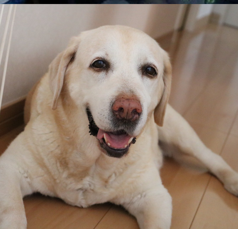 山崎アリーザちゃん