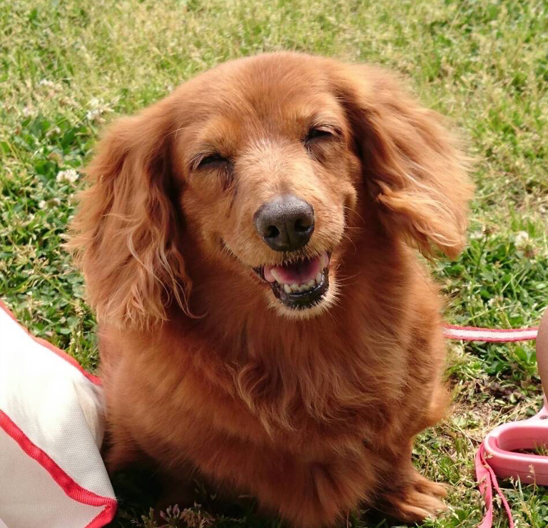 ちゃちゃちゃん